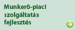 Munkaerő-piaci szolgáltatás fejlesztés